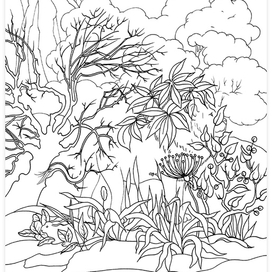 Кто спрятался в лесу?