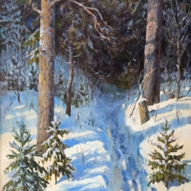 В Ярославских лесах