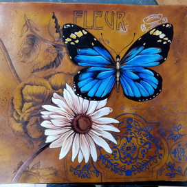 Бабочка и ромашка