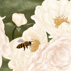 Цветочные иллюстрации