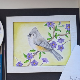 Острохохлая синица и Лициантес Рантонне (Паслён) 💚