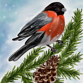 Снежное утро 