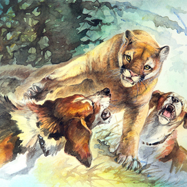 За ухо цап...!!!