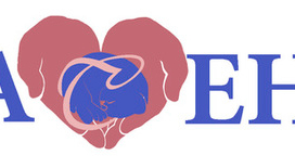 лого спасение