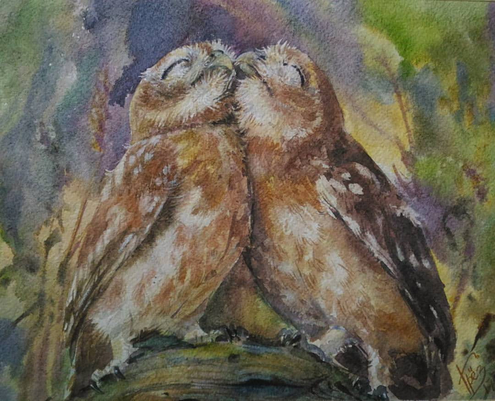 Домовой сыч