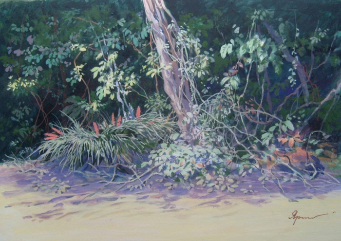 Бромелии (этюд)