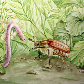 разговор жука и червяка