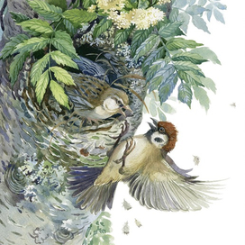 "Красная Горка"