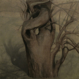 старая яблоня