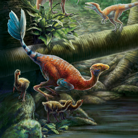 Пернатая семейка