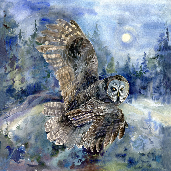 Бородатая неясыть