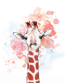 giraffe