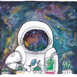 кактусы в космосе