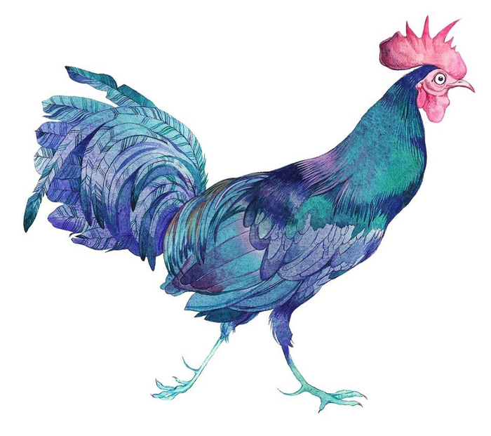 Бензиновый петух