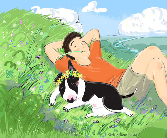 Летний портрет бультерьера