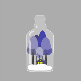 Зимний дом в бутылке