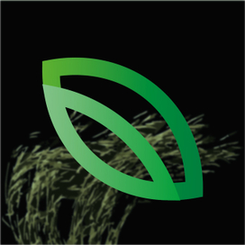 Rivo Naturals | Natural foods, vitamins and supplements