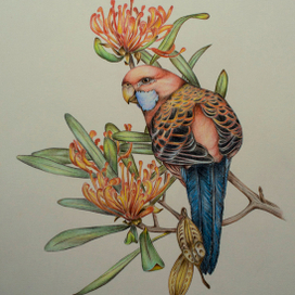 Красный попугай. Цветы