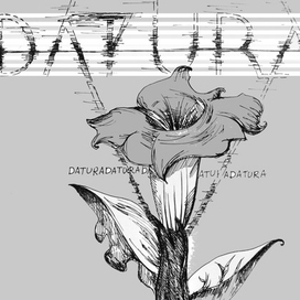 Datura лист1