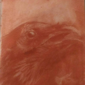 рисунок