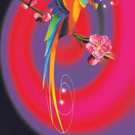 птичка райская