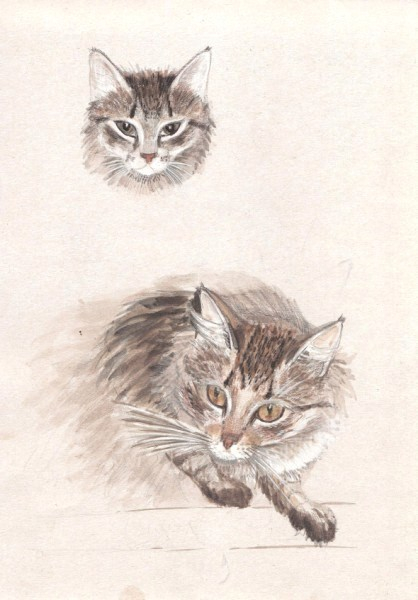 два возраста