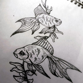 Graphic fish