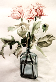 розы. зарисовка