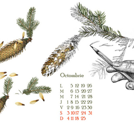 страницы календаря