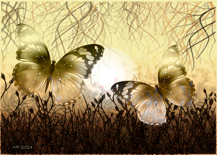 Вечерние бабочки