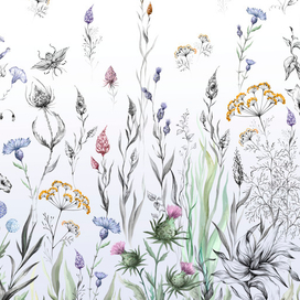 Поле волшебных цветов