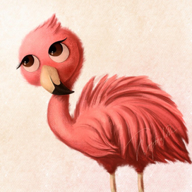 Детёныш Фламинго