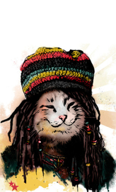 rasta cat