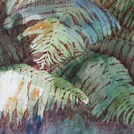 Листья папоротника