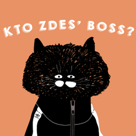 KTO ZDES' BOSS?