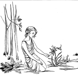 Легенда об Амариллисе