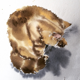 Гостей намывает 