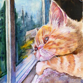 Окно в блокноте 4