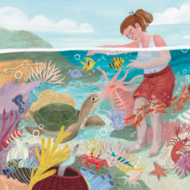 Пляжи Бразилии. Издательство Pioneer Valley Books