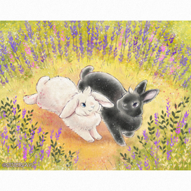 Зайчики на поляне