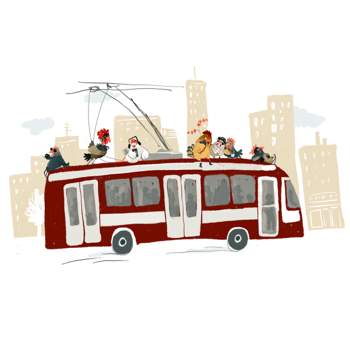 куры в городе