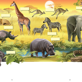 Мир который я люблю