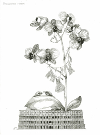 Итальянское гнездо.