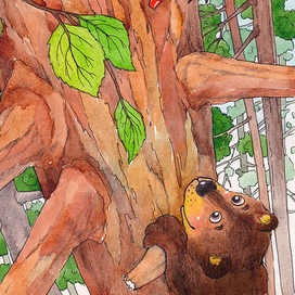 Разноцветные приключения. Мишка!