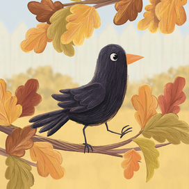 Черная птица 