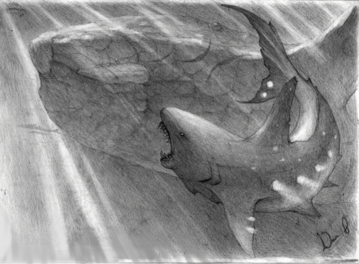 охота на левиафана