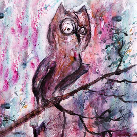 Откуда я здесь