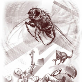 Иллюстрации к книге Евгения Чертовских "Лучший подарок"  МУХА