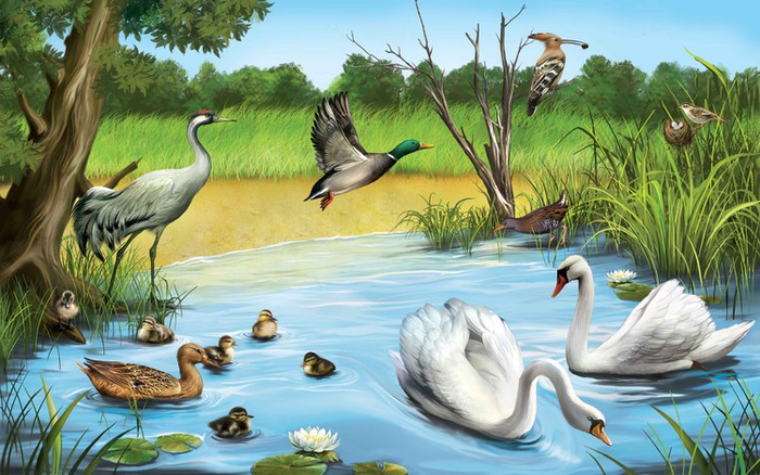 Птичьи хлопоты