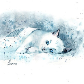 Под снежным одеялом